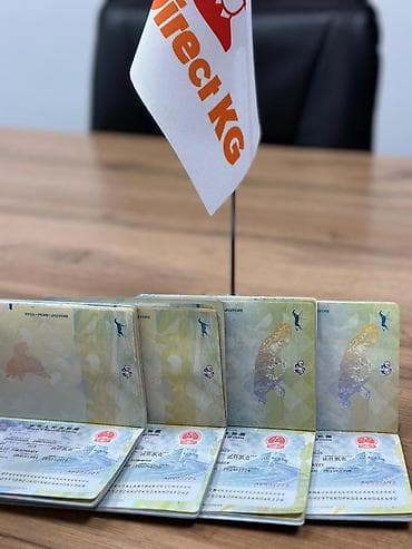 Помощь с Визой в Китай и Шенген Поможем оформить визы в Китай и