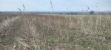 дачи на панораме: 100 соток, Для сельского хозяйства, Красная книга, Тех паспорт — 4