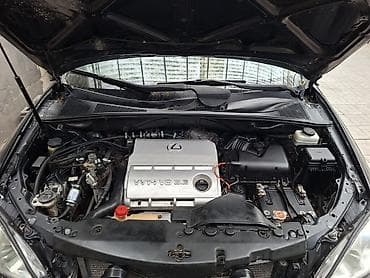 bmv 3: Lexus RX: 2004 г., 3.3 л, Автомат, Газ, Кроссовер — 10