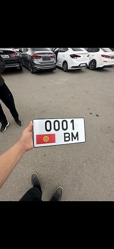 trail: Изготовление автомобильных сувенирных номерных знаков Кыргызстана под — 4