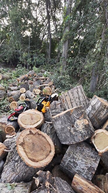 дом под ключ бишкек цена: Бак кыябыз бардык турлорун абреска кылабыз отун кылып даярдайбыз? — 4