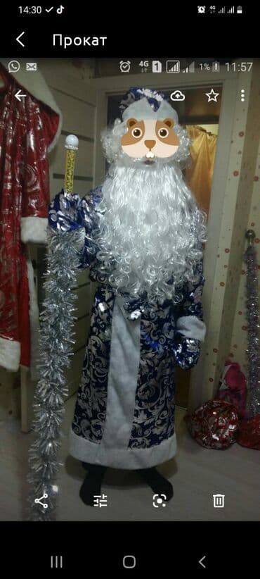 аренда платя: Карнавальный костюм — 1