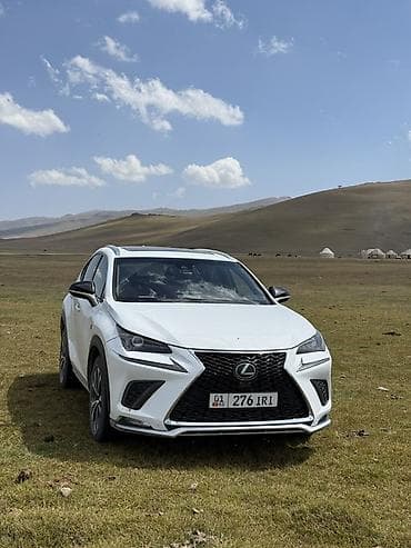 портер 2 чехол: Lexus NX: 2018 г., 2 л, Автомат, Бензин, Кроссовер — 4