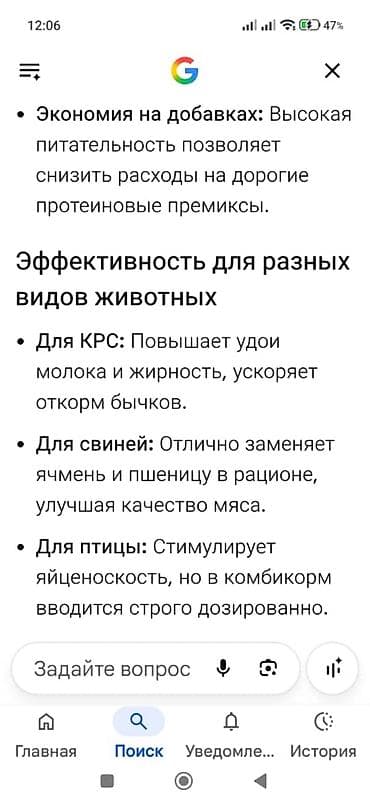 декалб уайт: Пшеница сорт Тритикале ! 720 кг ! — 4