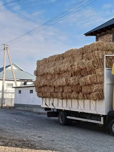 миска для животных: Салома саман ячменьний с доставкой — 1