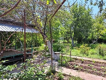 бишкек участка: 5 соток, Бизнес үчүн, Кызыл китеп — 9