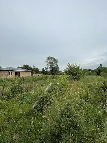 10 соток, Айыл чарба үчүн, Кызыл китеп — 9