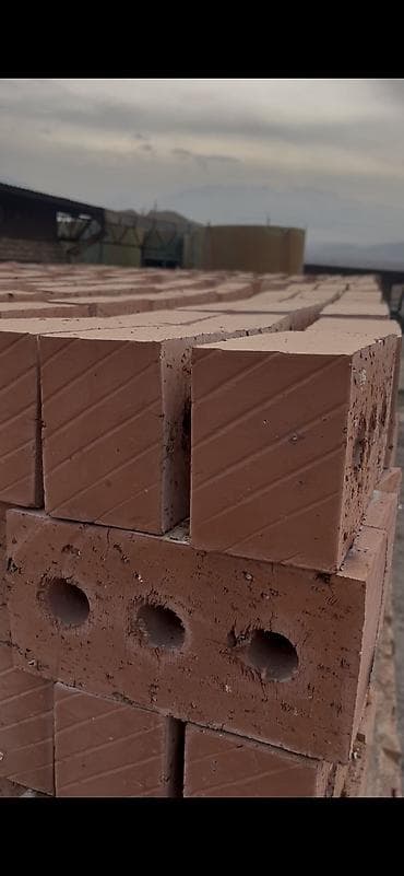 Промышленная химия: Пустотелый, дырчатый, Жженый кирпич, Полублок, 250×120×90 — 6