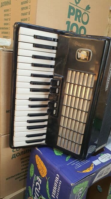 Аккордеондор: Аккордеон Weltmeister (ГДР) - Модель: Weltmeister (логотип и шильдик — 5