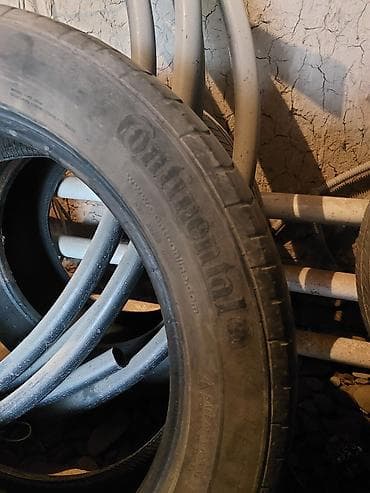 3 sfe: Шины 215 / 55 / R 16, Легковые, Continental — 3