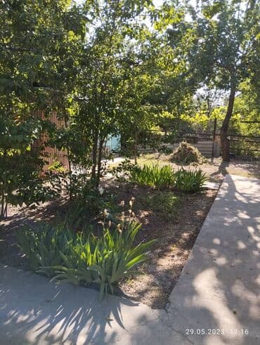 Сниму дом: Дом, 127 м², 6 комнат, Собственник, Старый ремонт — 29