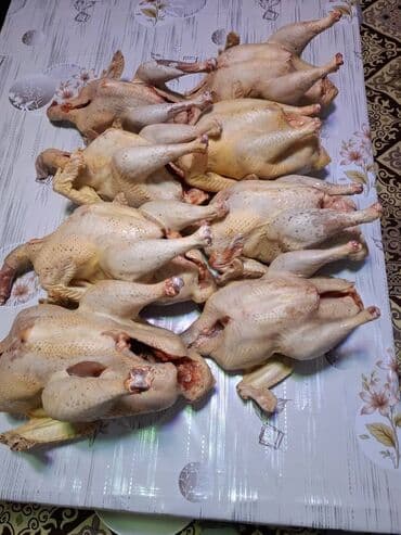 дом для животных: Продаю | Индюк (самец) | Бройлерная, Северокавказская | На забой | Племенные — 4