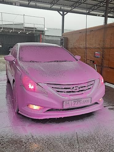 крыша соната: Hyundai Sonata: 2010 г., 2 л, Автомат, Газ, Седан — 2