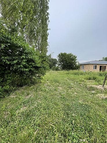 10 соток, Айыл чарба үчүн, Кызыл китеп — 4