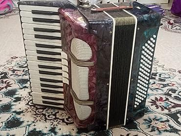 Велосипед тетиктери: Аккордеон/гармошка с клавиатурой пианино - Правая клавиатура: 41 — 3