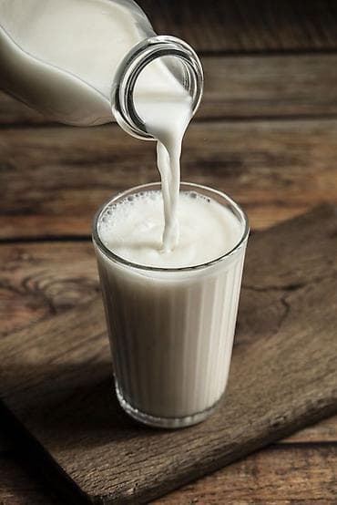коровы молоко: Молоко коровье! Продаю свежее домашнее молоко оптом. Объем 50 литров — 2