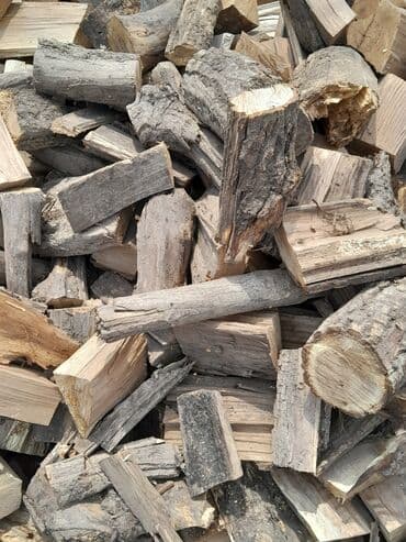 уголь каракече бешсары шабыркуль каражыра доставка бишкек купить: Тактайлар, Карагач, Кургак — 2