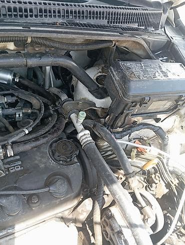 мотоцикл каракол: Honda Odyssey: 2002 г., 2.4 л, Типтроник, Газ, Вэн/Минивэн — 9