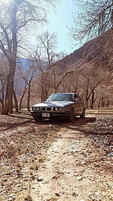 bew e39: BMW 5 series: 1993 г., Седан — 1