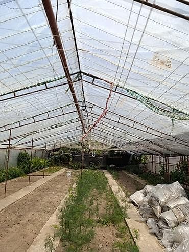 мини ферма: Теплица с отоплением и оборудованием 200 квадратов Каркас двойной — 3