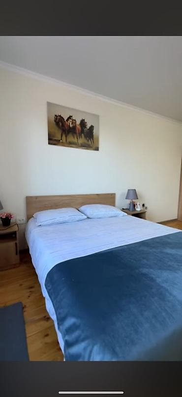 квартира почасовая: Гостевые апартаменты у Иссык-Куля с собственным крытым бассейном. - — 6