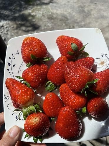 слива ягоды: Клубника — 4