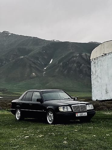 степ эреф 1: Mercedes-Benz E-Class: 1993 г., 2.2 л, Кол менен иштөөчү, Газ, Седан — 3