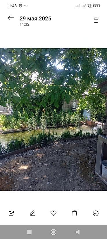 село тон: Продаётся или обмен на 3‑комнатную квартиру в центре города с доплатой — 9