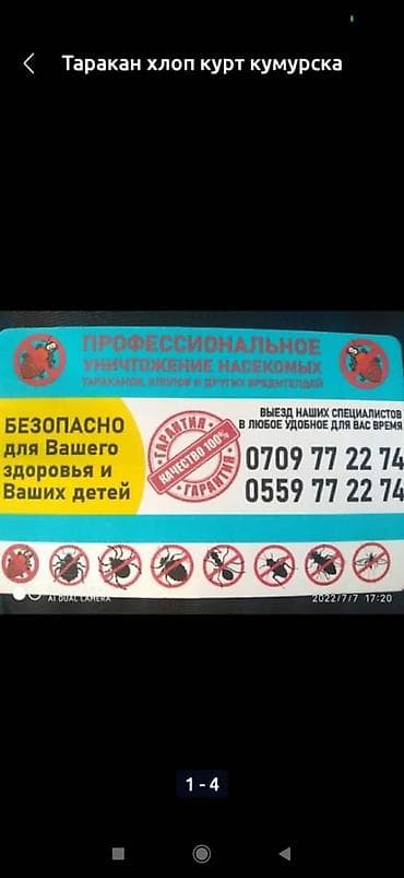 Дезинфекция дезинфекция дезинфекция дезинфекция дезинфекция Таракан