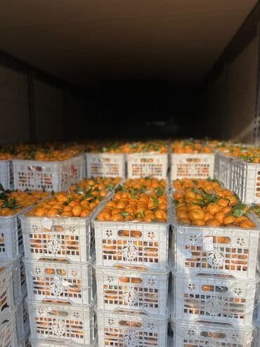 вода оптом: Мандарины Оптом — 4
