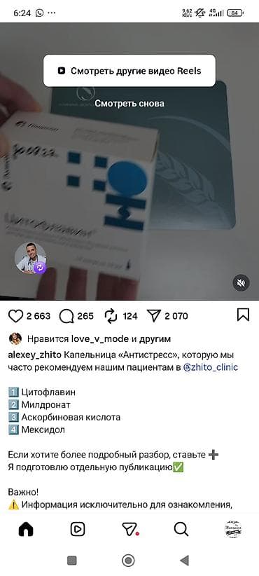 чихуахуа щенки: Продаётся щенок порода чихуахуа. Родители с родословной — 9