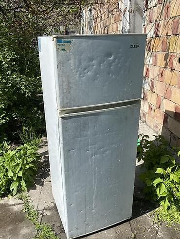 холодильник blesk: Холодильник Blesk, Двухкамерный — 2