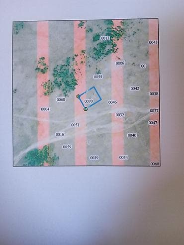 аренда комнат бишкек: 5 соток, Красная книга — 2