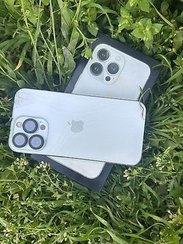 google pixel c: IPhone 13 Pro, Серебристый, Коробка — 9