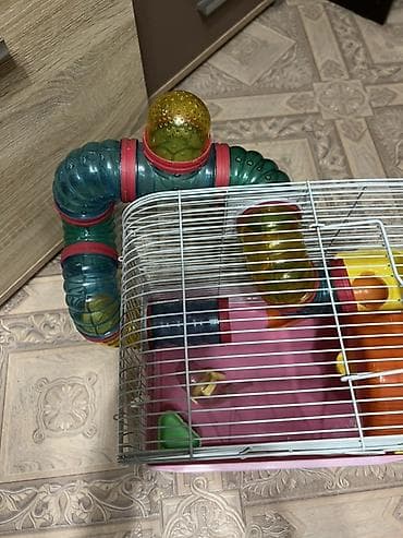 хомяк домашний купить: Двухэтажная Клетка для хомяка с игровым тоннельным модулем (б/у) - — 2