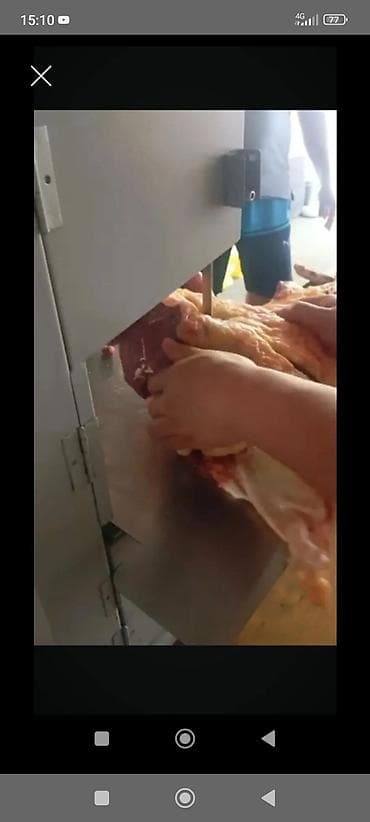 Касапчы; Бодо мал соебуз, жылкы уй, кой ресторан той аштарга бышырып