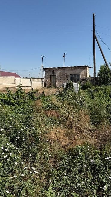 кирг шёлк: 31 соток, Бизнес үчүн, Кызыл китеп, Техпаспорт — 5