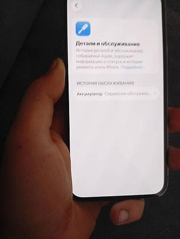 матовая пленка на телефон: IPhone 12 Pro, Б/у, 128 ГБ, Черный, Защитное стекло, Чехол, 73 % — 3