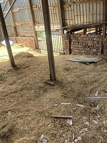 Отдам даром: Саман, солома отдам даром. Рассыпчатый, можно использовать для Саманых — 1