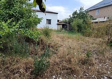 большой сад: 8 соток — 4