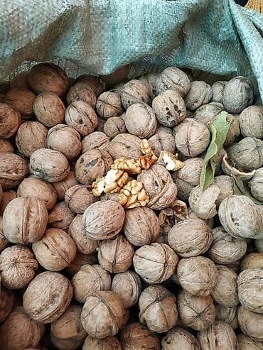 жом цена: Грецкие орехи продаю — 1
