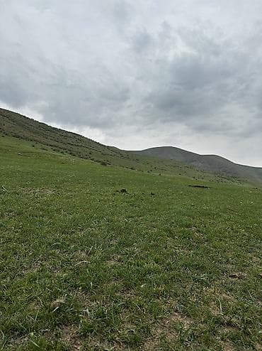 курорты: Отдых в горах с комфортом 🏔️ Уютные номера (люкс и стандарт) + сауна — 5