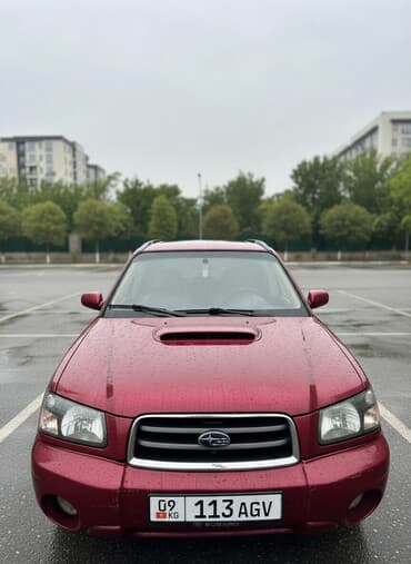 меняю дом на машину: Продаю Subaru Forester в идеальном состоянии мотор коробка перевозной — 1