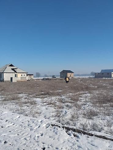 all group: 4 соток — 2