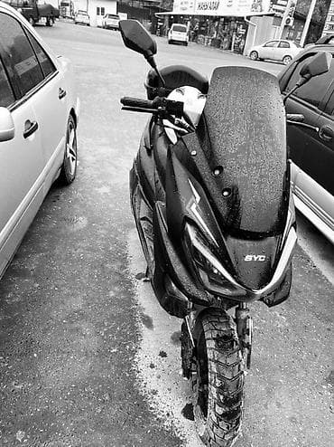 петля на спринтер: Скутер SYC (модель из серии Touring/City) - Кузов с высоким ветровым — 1