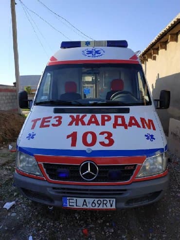 Тюнинг: Наклейки на авто любой сложности Дублирующие номера рисунки на любой — 5