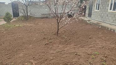 Стирка ковров: Уборка территории, Уборка двора и сада — 2