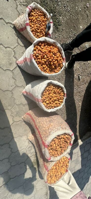 рулон пакетов цена: Лейлек кандек оругу. Оптом и в розницу. Г. Бишкек. Рабочий городок — 7