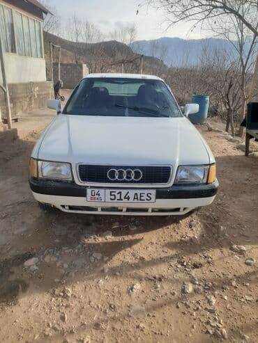 Audi 80: 1993 г., 2 л, Механика, Бензин, Седан