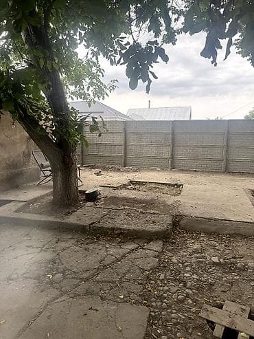 Дома: 🏡 Продается уютный дом в с. Романовка! ✨ Характеристики: 🏠 Дом — 65 — 6